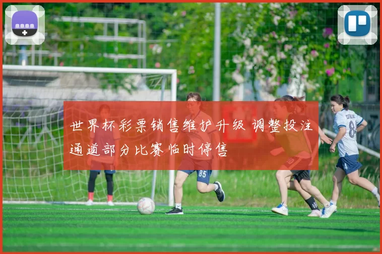 世界杯彩票销售维护升级 调整投注通道部分比赛临时停售