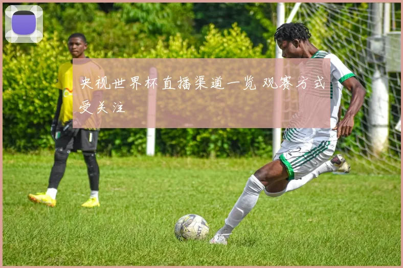 央视世界杯直播渠道一览 观赛方式受关注