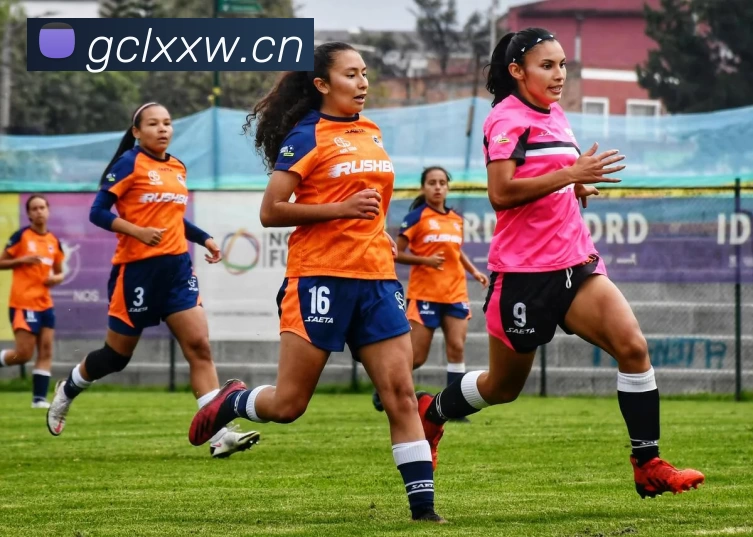 beat·365(中文) - 唯一官方网站平台生态图